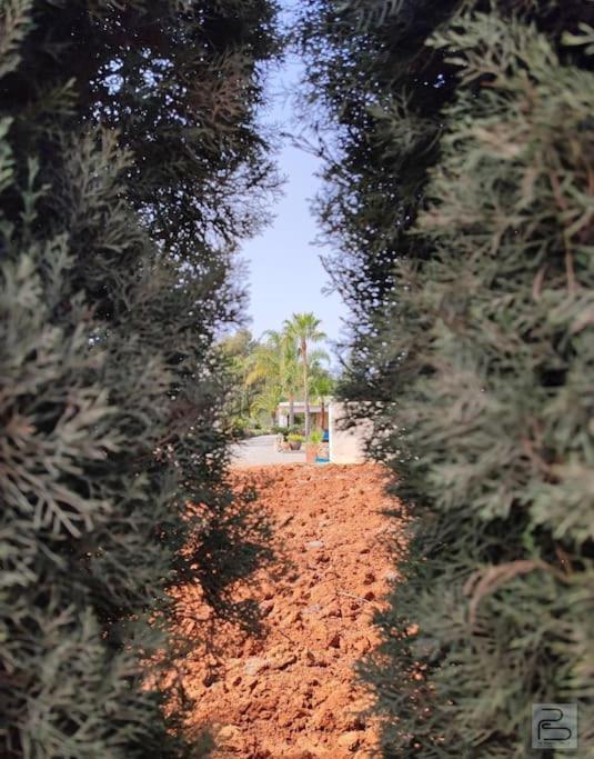 Vila Casa Bet Con Piscina Y Jardin. Sant Miquel de Balansat Exteriér fotografie