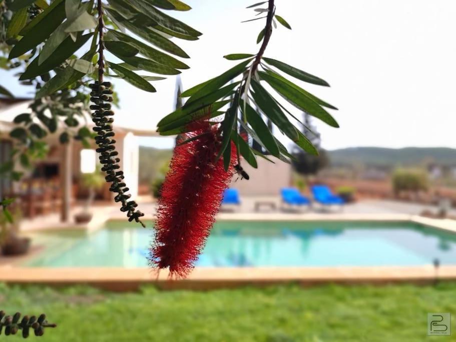 Vila Casa Bet Con Piscina Y Jardin. Sant Miquel de Balansat Exteriér fotografie