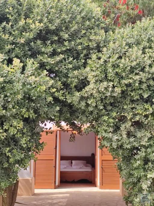 Vila Casa Bet Con Piscina Y Jardin. Sant Miquel de Balansat Exteriér fotografie